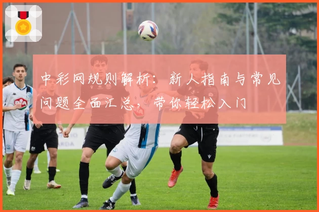 中彩网规则解析：新人指南与常见问题全面汇总，带你轻松入门