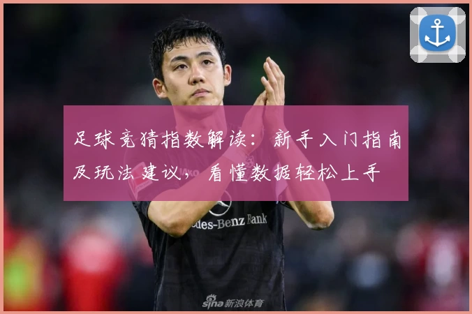 足球竞猜指数解读：新手入门指南及玩法建议，看懂数据轻松上手